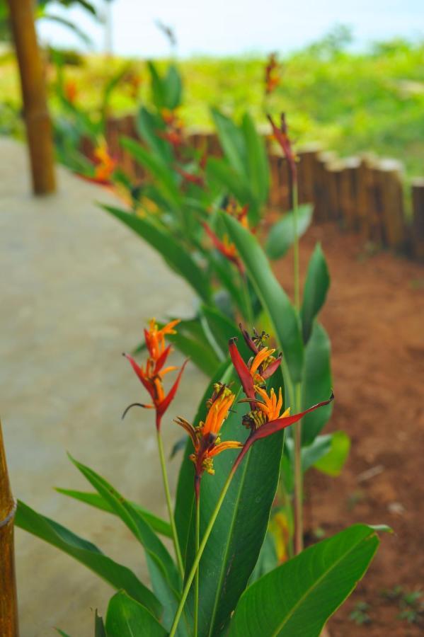 Pura Vida Varkala Otel Dış mekan fotoğraf